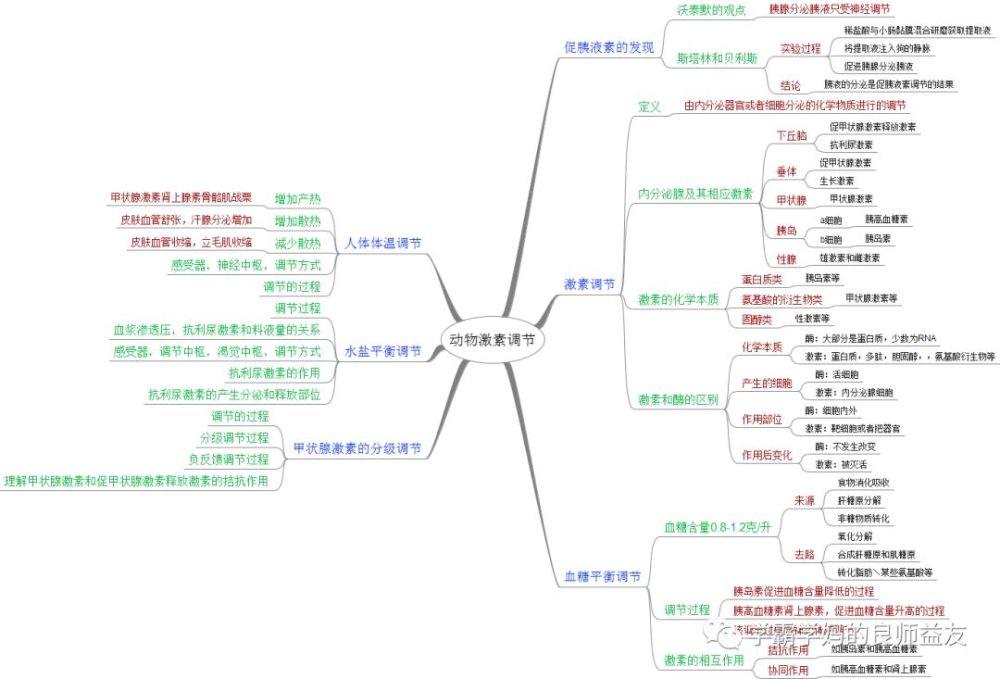 思维导图学生物-激素调节
