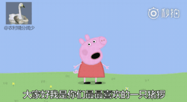 本地口音小猪佩奇来了!要到金陵塔去白相!蜜汁爆笑!