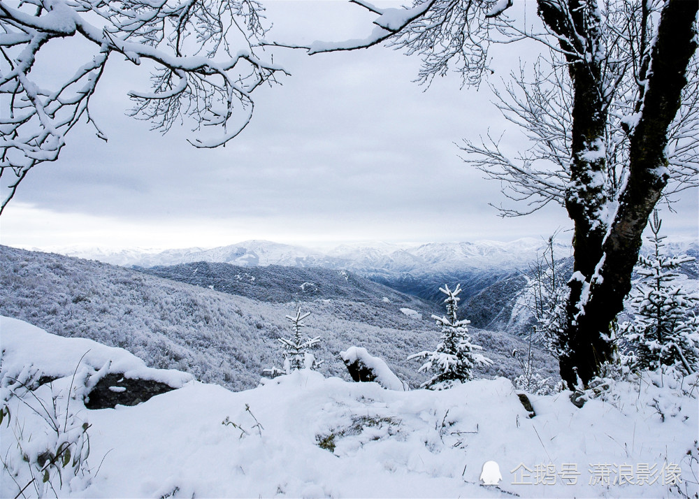 甘肃农村老家的雪景,第一次拍摄,终生难忘