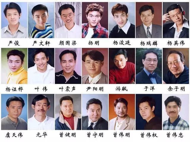 香港tvb240位男演员,能认识一般的都是港剧大神,蔡国庆也在其中