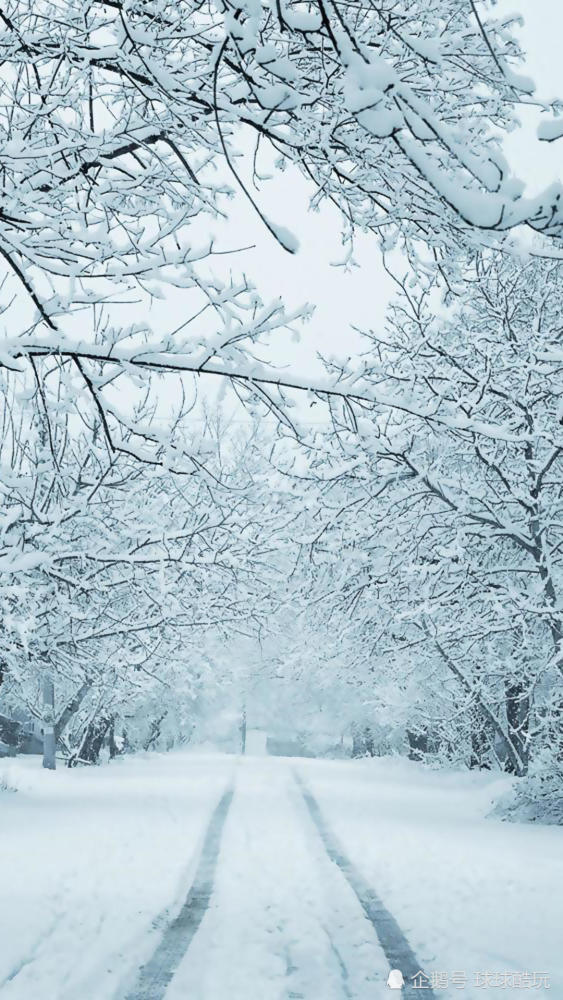 冬季漂亮的雪景手机壁纸,个人裁切高清锐化处理,1080p