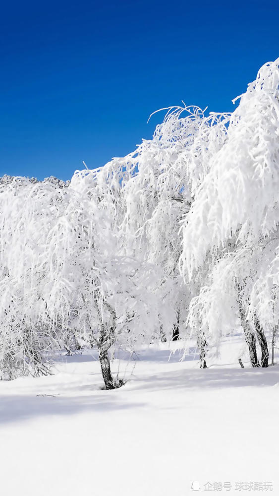 冬季漂亮的雪景手机壁纸,个人裁切高清锐化处理,1080p