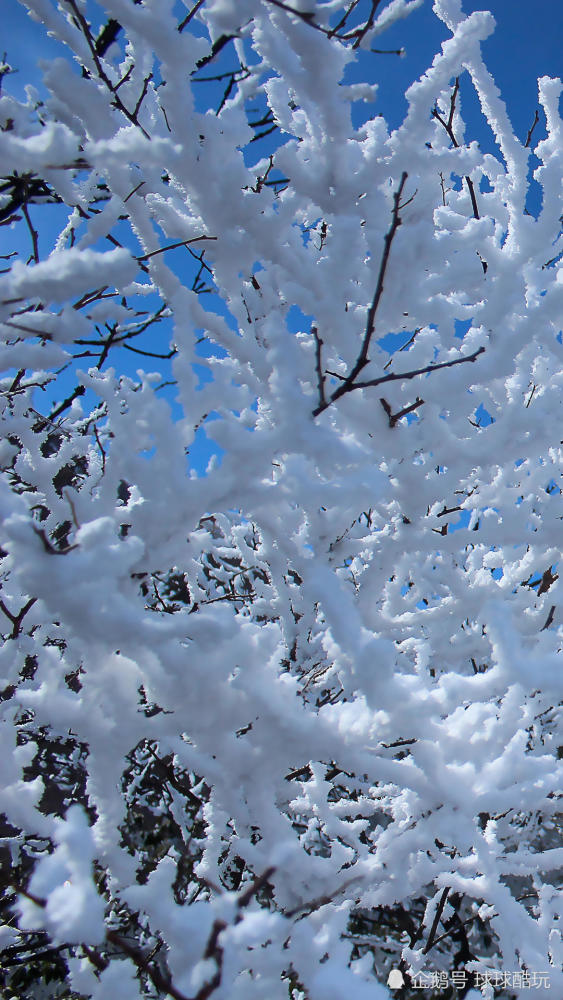 冬季漂亮的雪景手机壁纸,个人裁切高清锐化处理,1080p