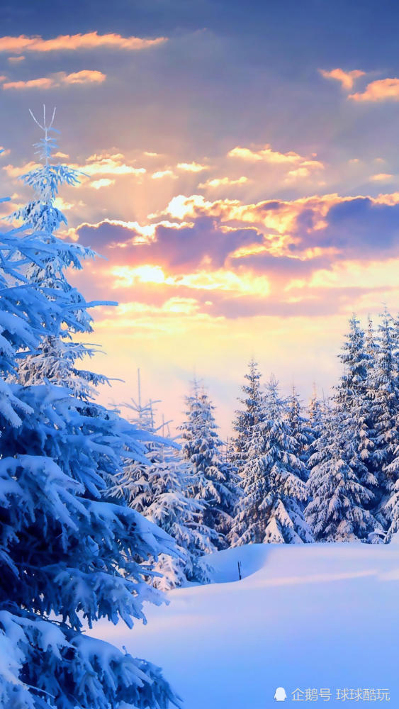 冬季漂亮的雪景手机壁纸,个人裁切高清锐化处理,1080p