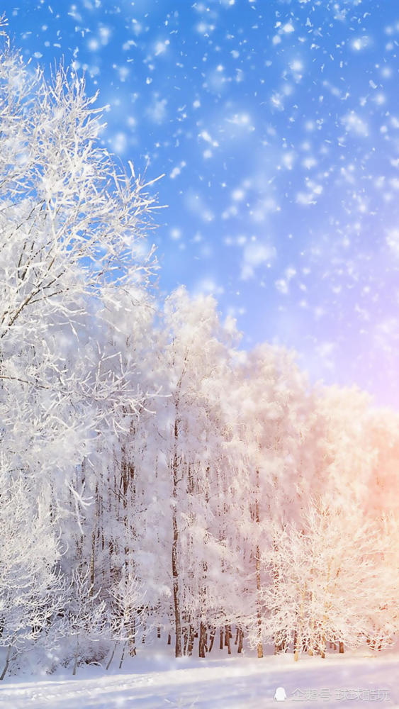 冬季漂亮的雪景手机壁纸,个人裁切高清锐化处理,1080p