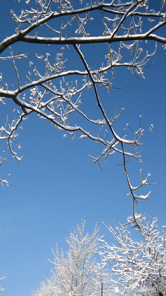 冬季漂亮的雪景手机壁纸,个人裁切高清锐化处理,1080p