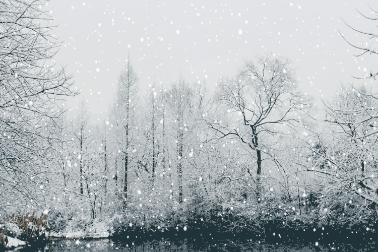 雪落杭城,梦回临安,这6处隐匿好店承包了杭州最美雪景