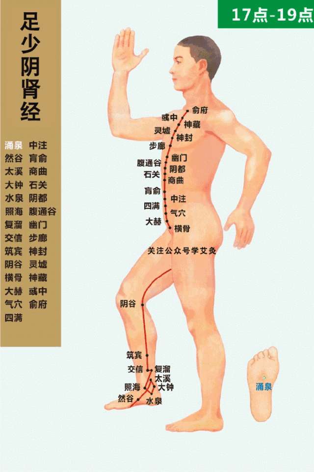 最新经络图(精美3d动态循行图,没有比这更详细)