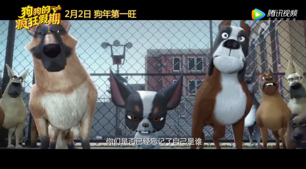 狗子谋划出逃《狗狗的疯狂假期》公布终极预告