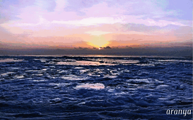 此心安处是吾乡-天天快报