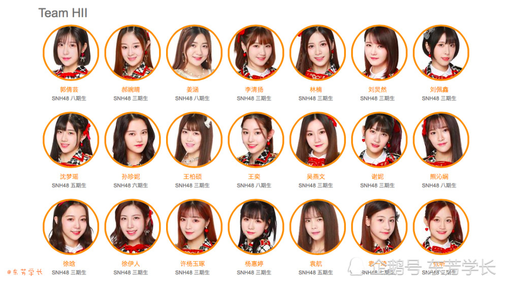 snh48 team x是团体组合snh48的一支队伍,于2015年4月17日正式成立.