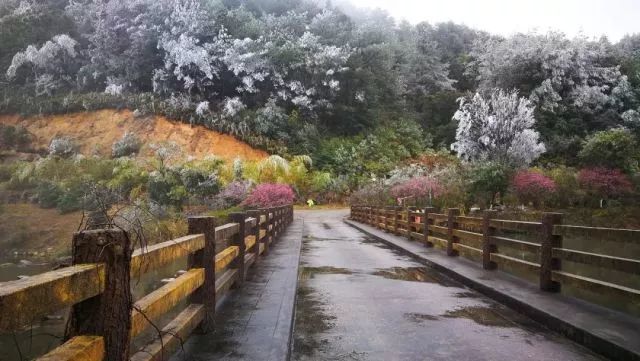下雪的福建美爆 惊艳到都忘了自己是南方人
