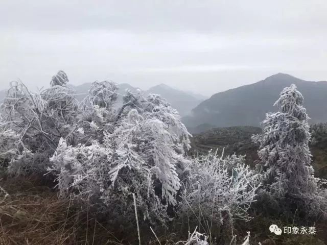 下雪的福建美爆 惊艳到都忘了自己是南方人