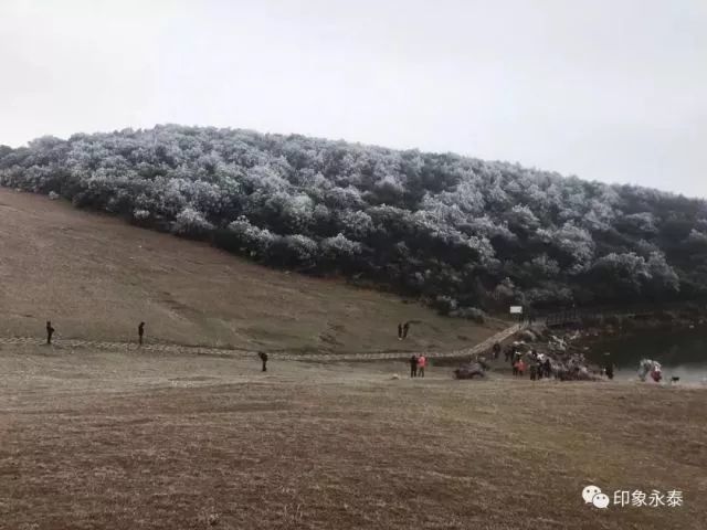 下雪的福建美爆 惊艳到都忘了自己是南方人