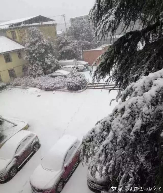 下雪的福建美爆 惊艳到都忘了自己是南方人