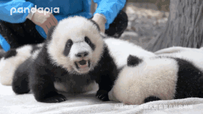 400_225gif 动态图 动图