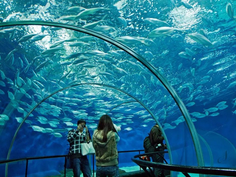 上海海洋水族馆