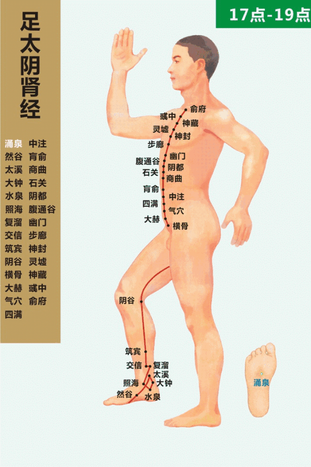 十二经络的走向动画图及不同病症的对治方法!