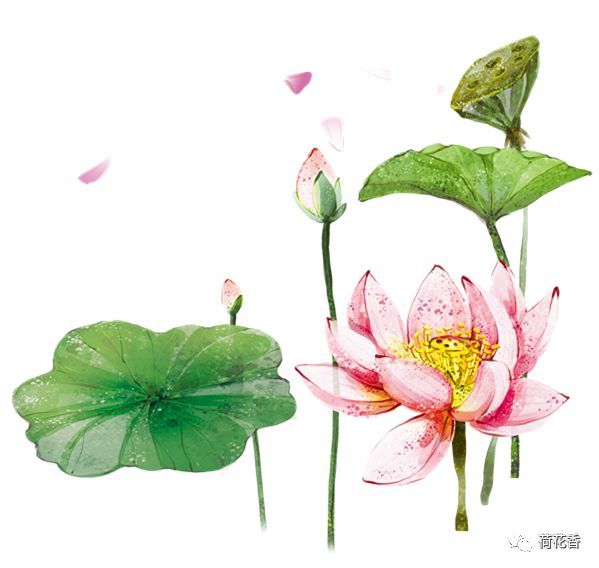 《花非花》-白居易