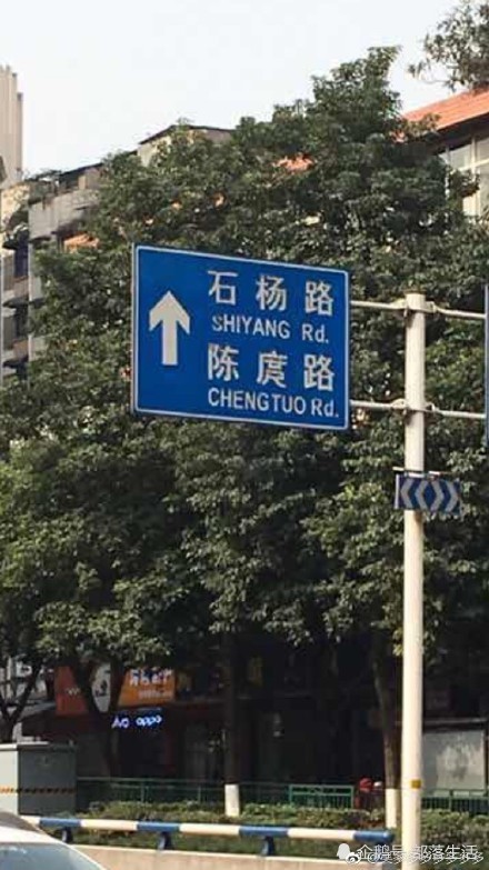 网友爆料:重庆人真的是鼻音不分 连陈庹路的路牌都写错了