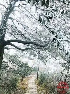 下雪的福建美爆 惊艳到都忘了自己是南方人