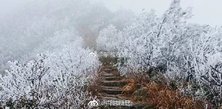下雪的福建美爆 惊艳到都忘了自己是南方人