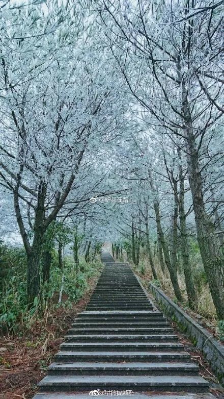 下雪的福建美爆 惊艳到都忘了自己是南方人
