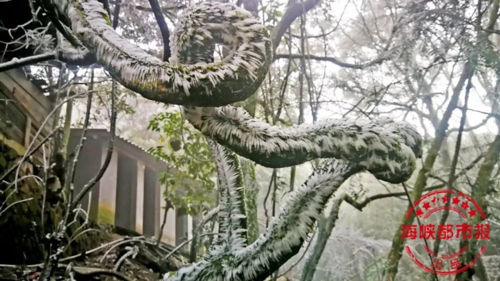 下雪的福建美爆 惊艳到都忘了自己是南方人