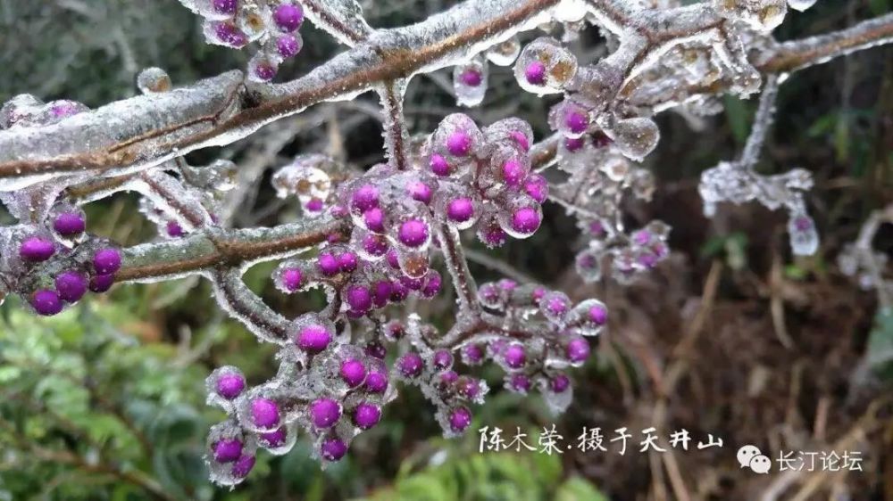下雪的福建美爆 惊艳到都忘了自己是南方人