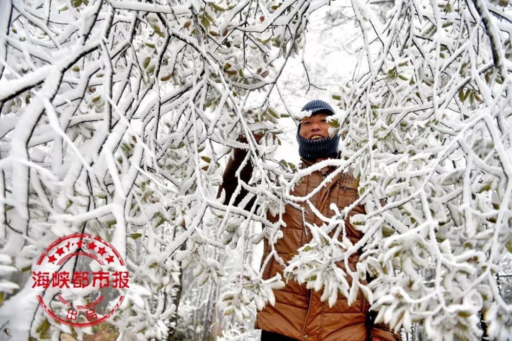 下雪的福建美爆 惊艳到都忘了自己是南方人