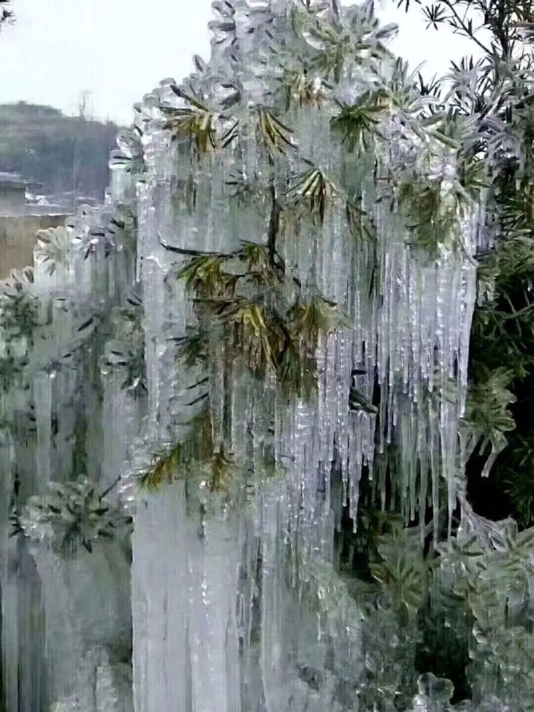 下雪的福建美爆 惊艳到都忘了自己是南方人
