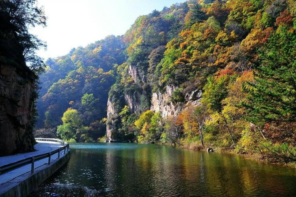 七里峪景区密布的松树林和瀑布流水,使这里成了巨大的