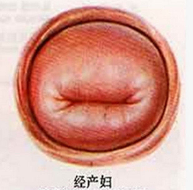 女人生了孩子之后和没生过的有什么不一样,让