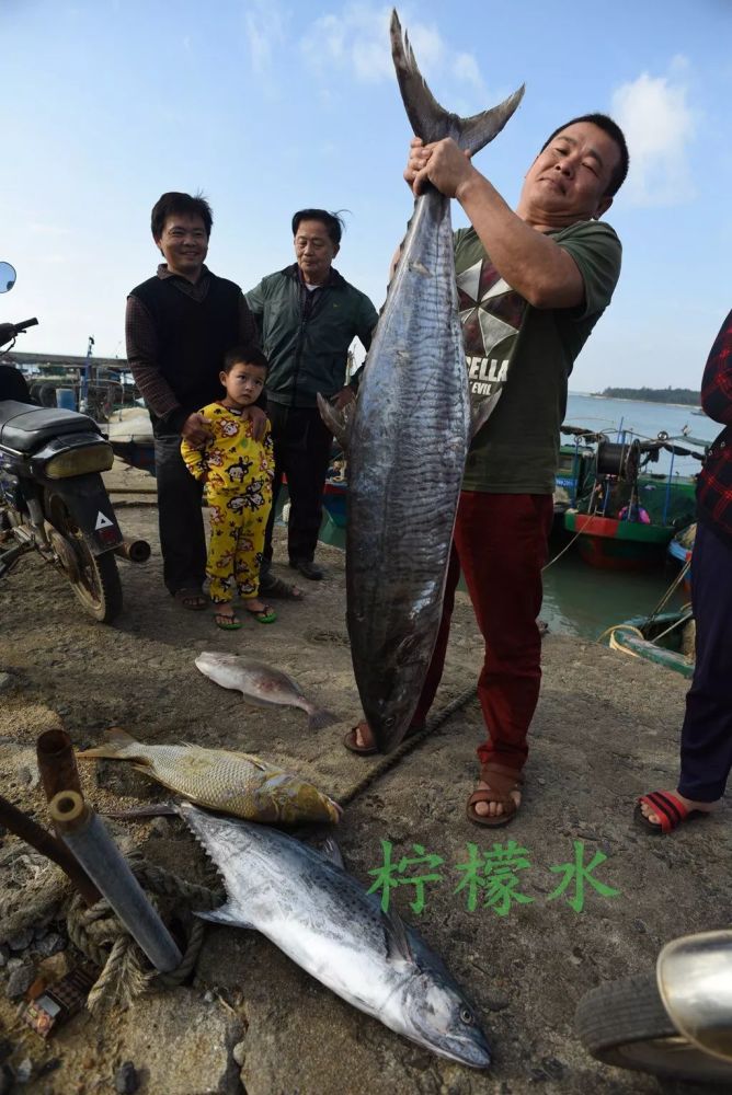 出海抓大鱼喽!看看琼海渔民捕到的鱼有多大