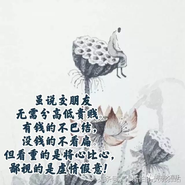 别让你泛滥的善良,把一只落水狗喂成了白眼狼!