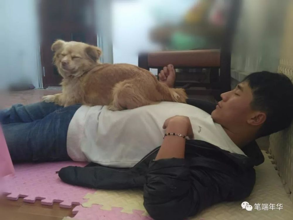 幼稚到无知,嚣张到无敌的傻子