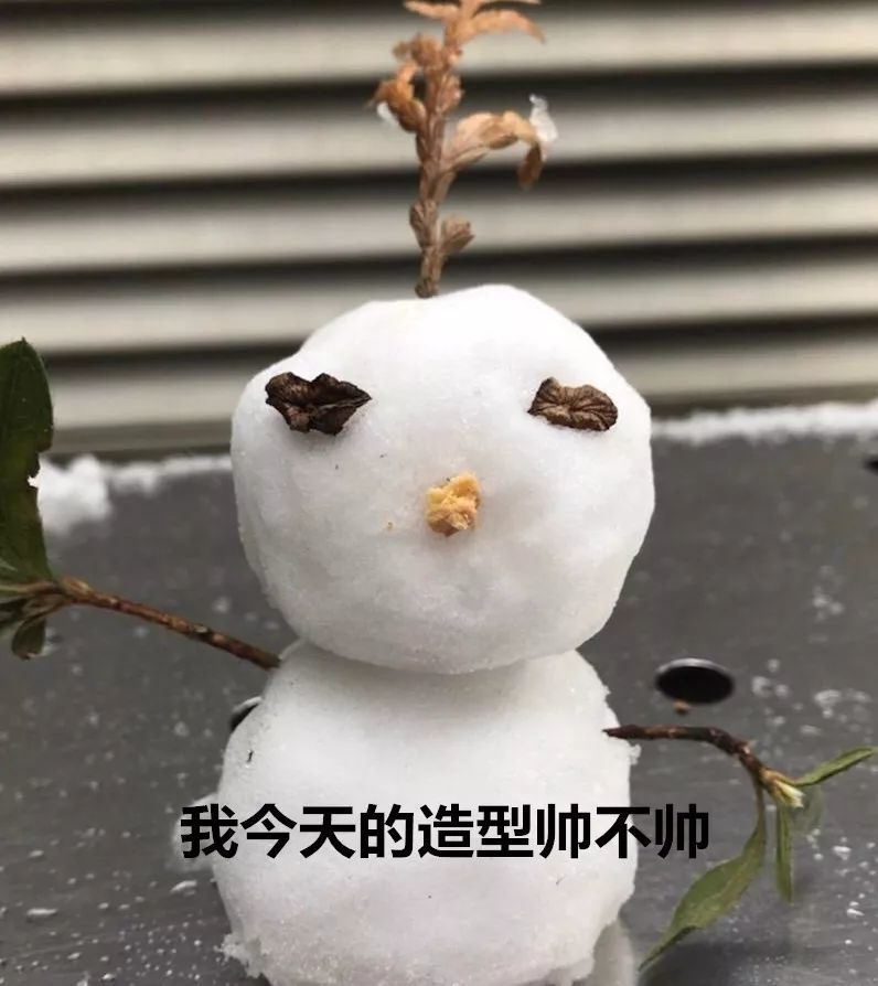 今天,贵阳热心网友贡献了一组雪人表情包
