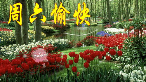 2018最漂亮早上好动态表情图片 问候早上好温馨句子
