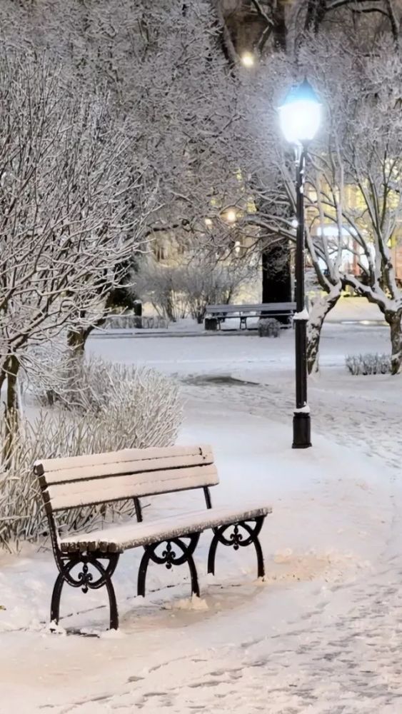下雪了,你知道雪景拍摄需要注意什么吗?-天天快报