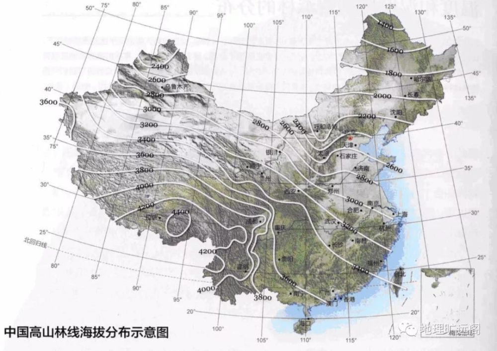 基于期刊论文的高考地理试题设计研究08——以林线为例