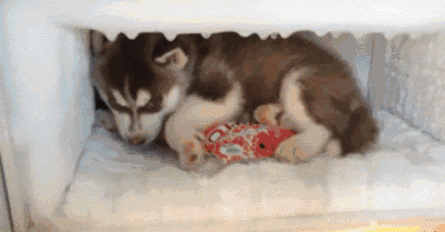 这些食物不要放冰箱,你知道吗