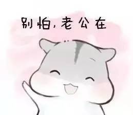 超萌仓鼠情侣表情包合集!单身狗伤害100000