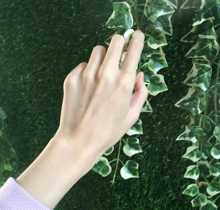 这个看脸的社会 "颜值"已经不能满足各位小姐姐了 如果有一双好看又
