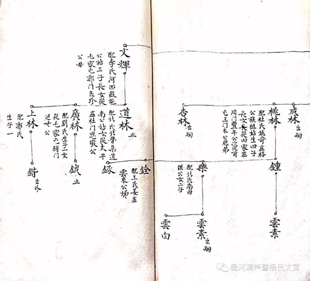 1892年高密张鲁杨氏家谱扫描照片