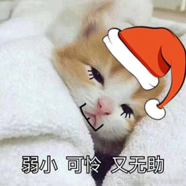 弱小无助可怜