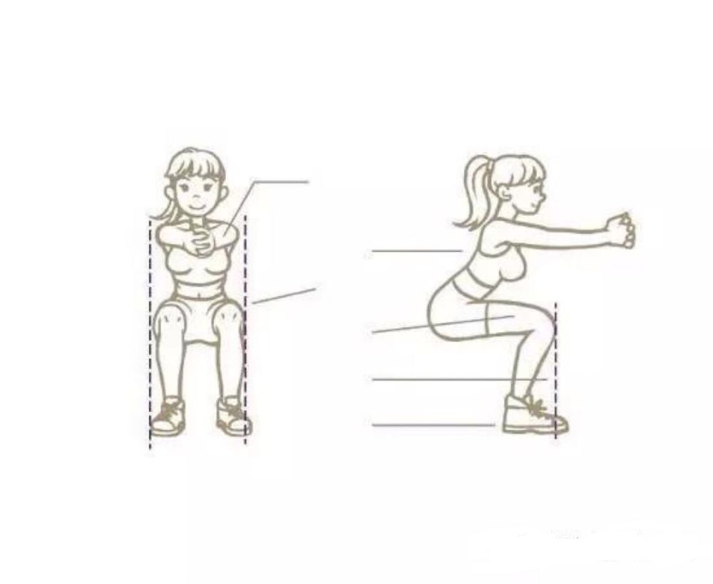 深蹲  