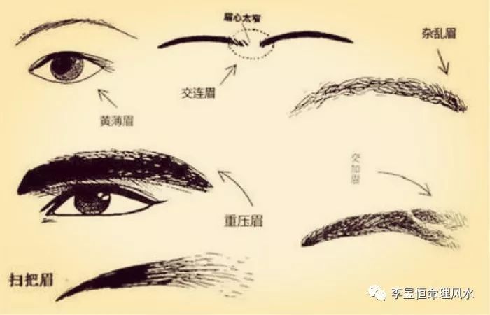 面相秘诀:眉毛搭桥,兄弟不和钱财难聚!