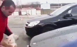 男子见车底有只猫咪,他直接用猫咪来擦车,网友愤怒了