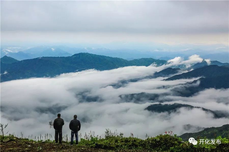 地理位置 古田山风景旅游区位于古田山国家级自然保护区境内,总面积