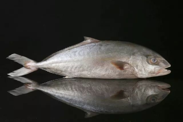 冬旬料理全新登场 来花隐感受最正宗的怀石料理 看点快报